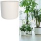 Elho Round Indoor Flowerpot, 16cm - White